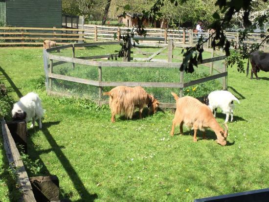 Freightliners City Farm